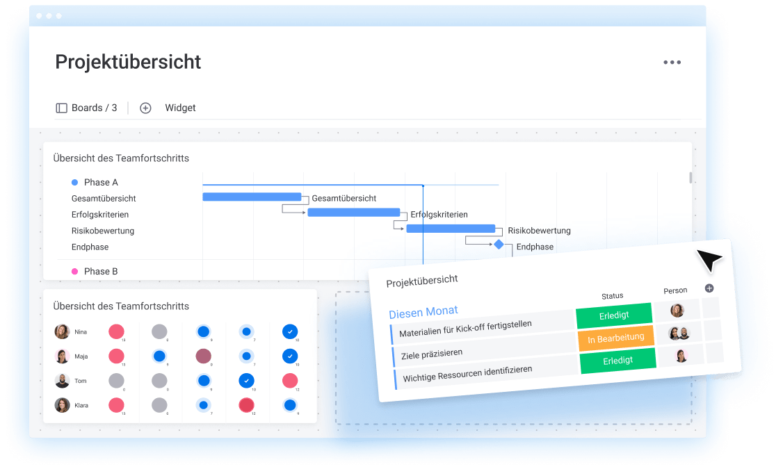 DE Track and optimize projects